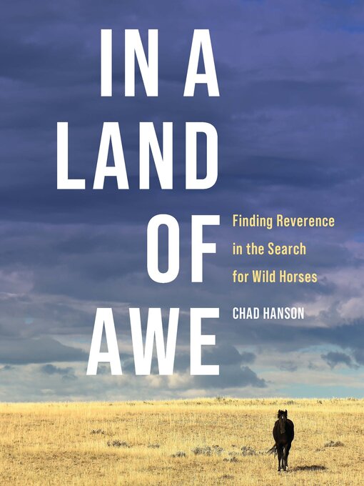 Title details for In a Land of Awe by Chad Hanson - Available